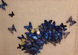 metallic blue bflies