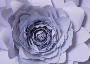 White-Paper-Flower-#6-(Art-2)